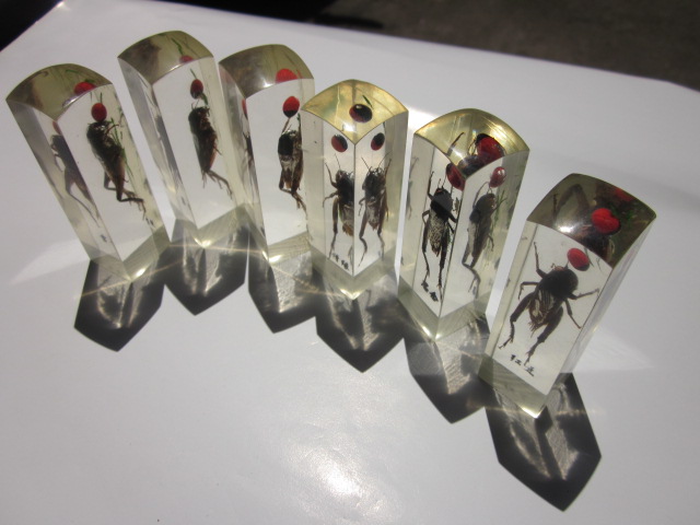 牛角有机、塑料檀木原子章类